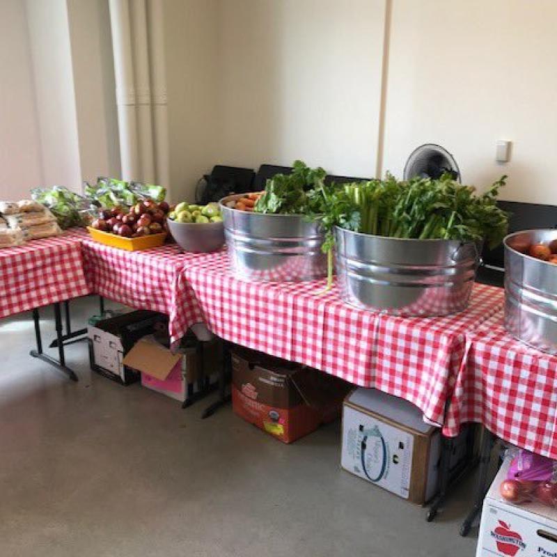 A table covered by a plaid tablecloth, lined with bowls of apples, carrots, leafy vegetables, and bags of grains/rice. 