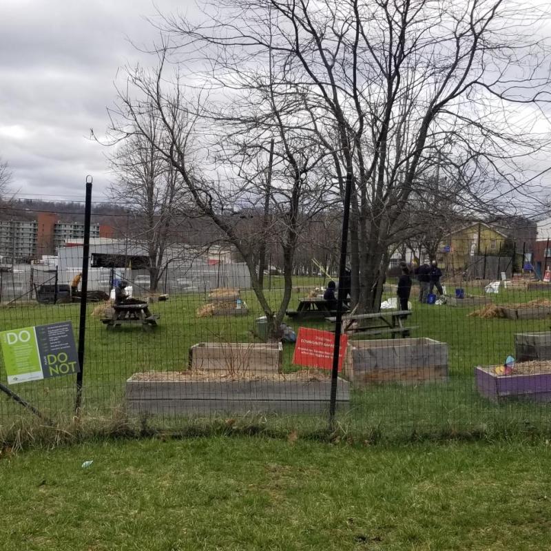The McKeesport community garden in Pittsburgh 